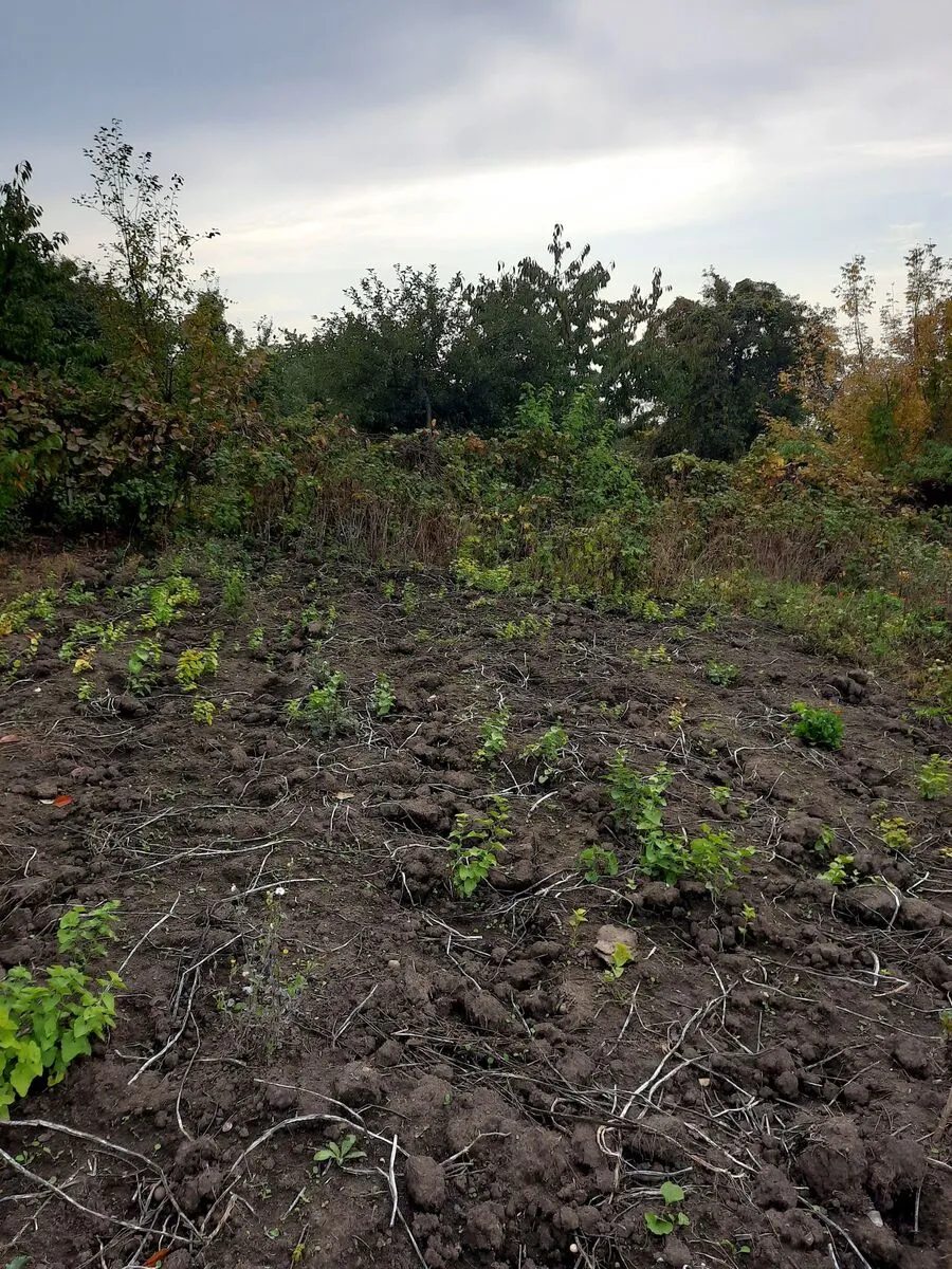 Продаж землі під житлову забудову. АН Купи Дім , Кропивницький. 