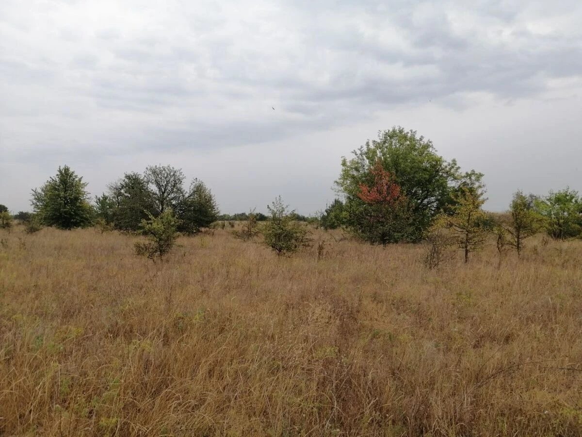 АН Купи Дім , Кропивницький