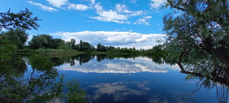 Продажа земли под строительство. Осещина, Хотяновка. 