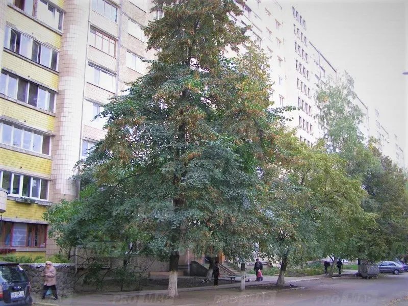 Apartments for sale. 20, Gongadze Georgia 20, Kyiv. 