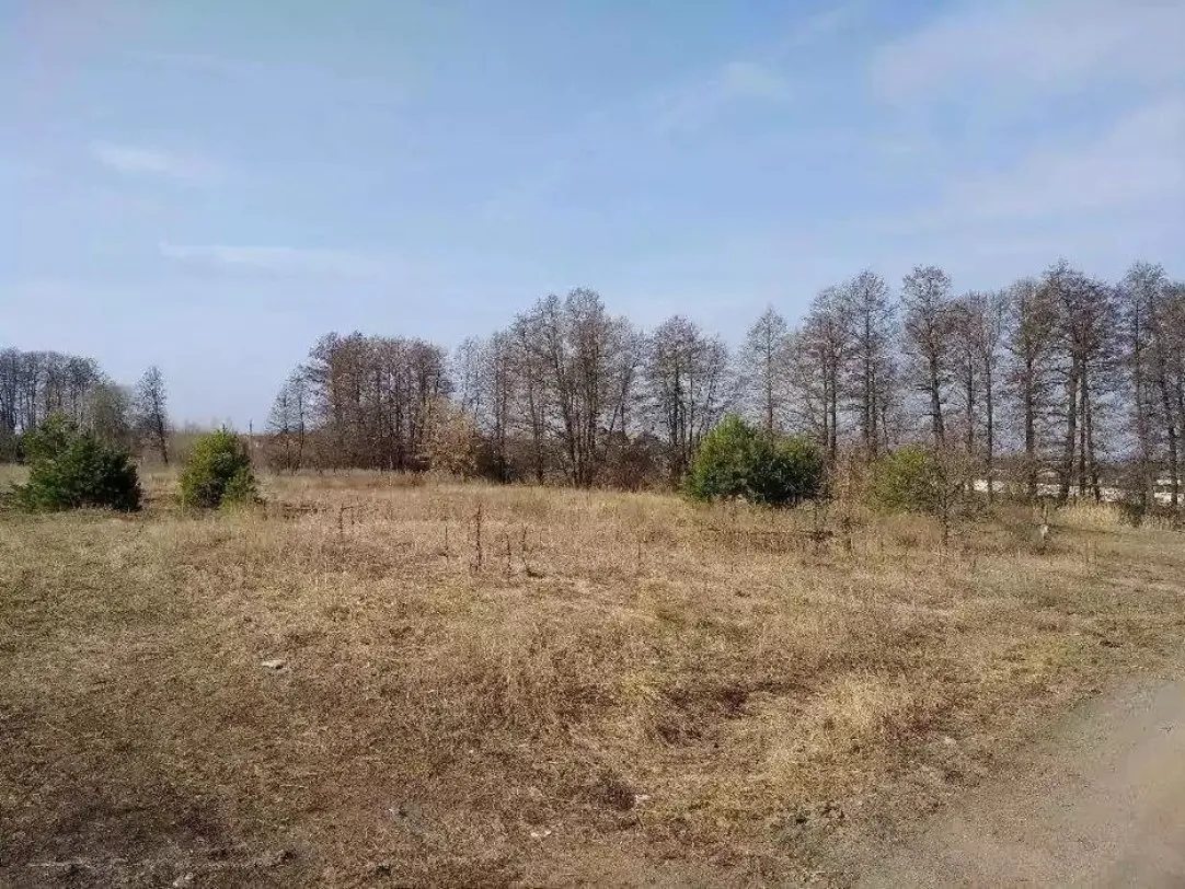 Land for sale for residential construction. Makovyshche. 