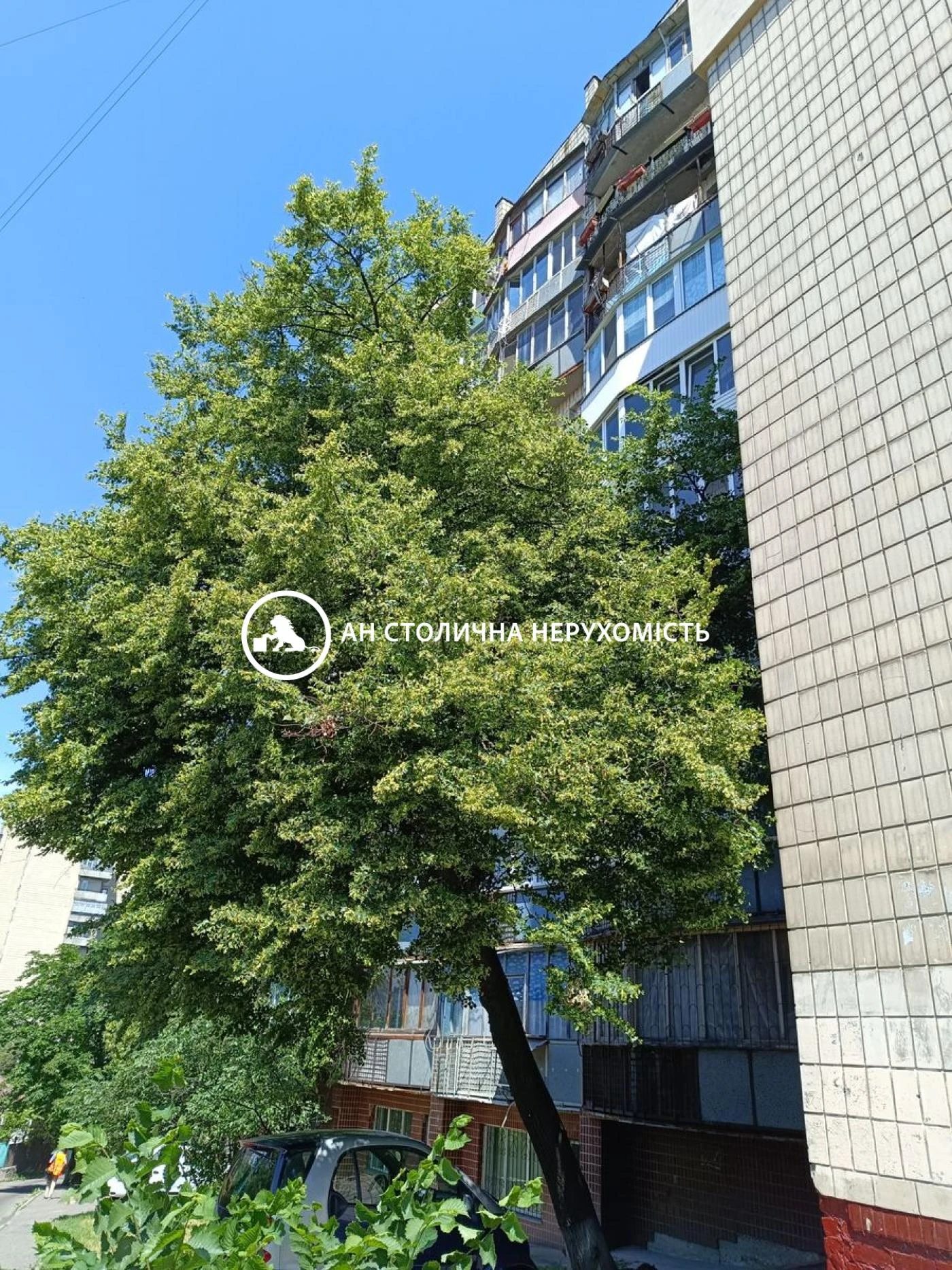 Apartments for sale. 1 room, 22 m², 1st floor/9 floors. 20, Nauky 20, Kyiv. 