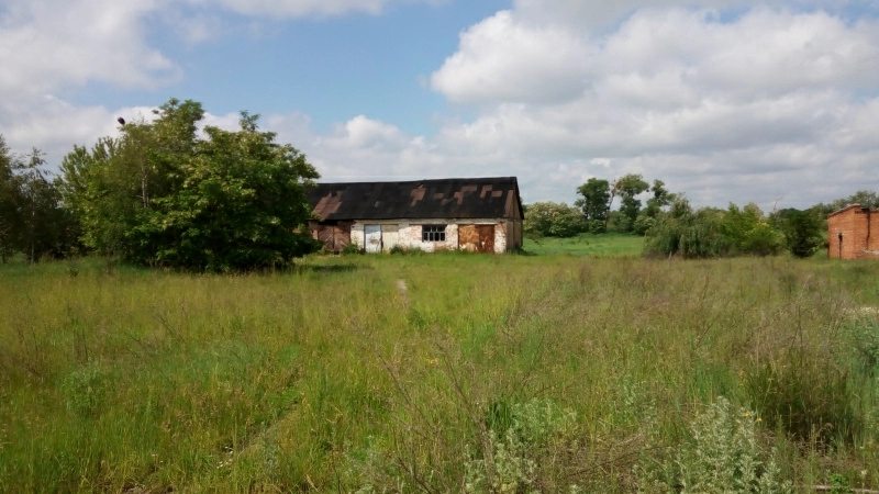 Agricultural land for sale. Lenyna, Myrotskoe. 