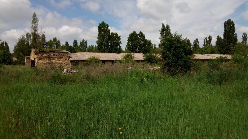 Agricultural land for sale. Lenyna, Myrotskoe. 