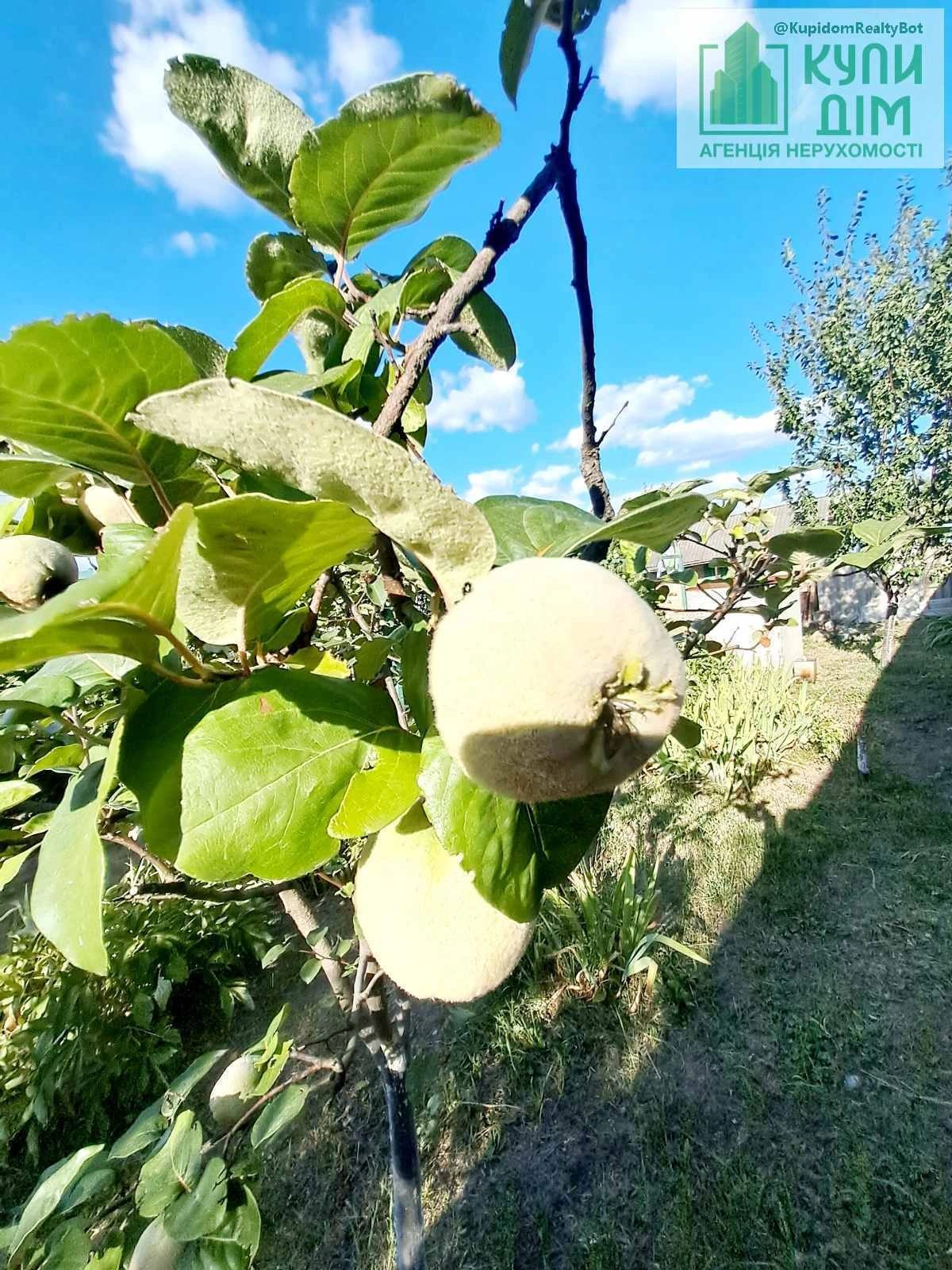 Продам будинок з меблями та технікою на Старій Балашівці.