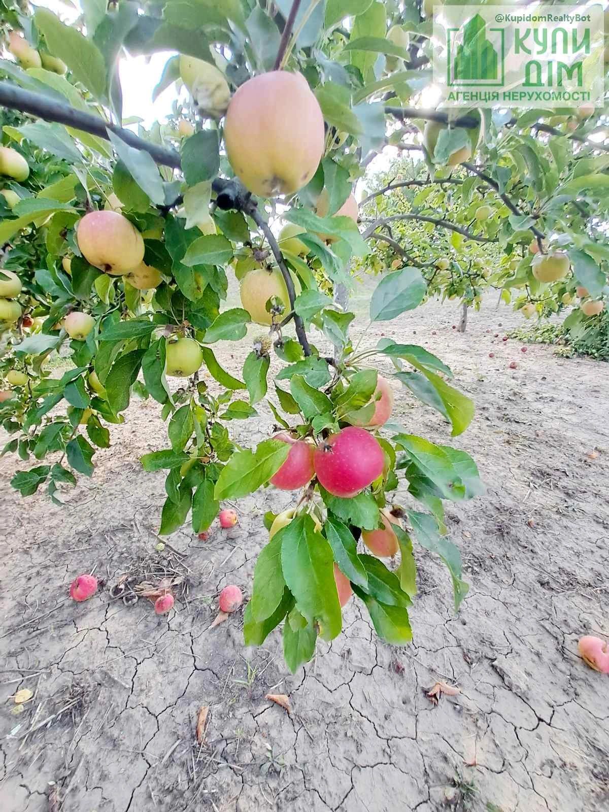 Продам будинок з меблями та технікою на Старій Балашівці.