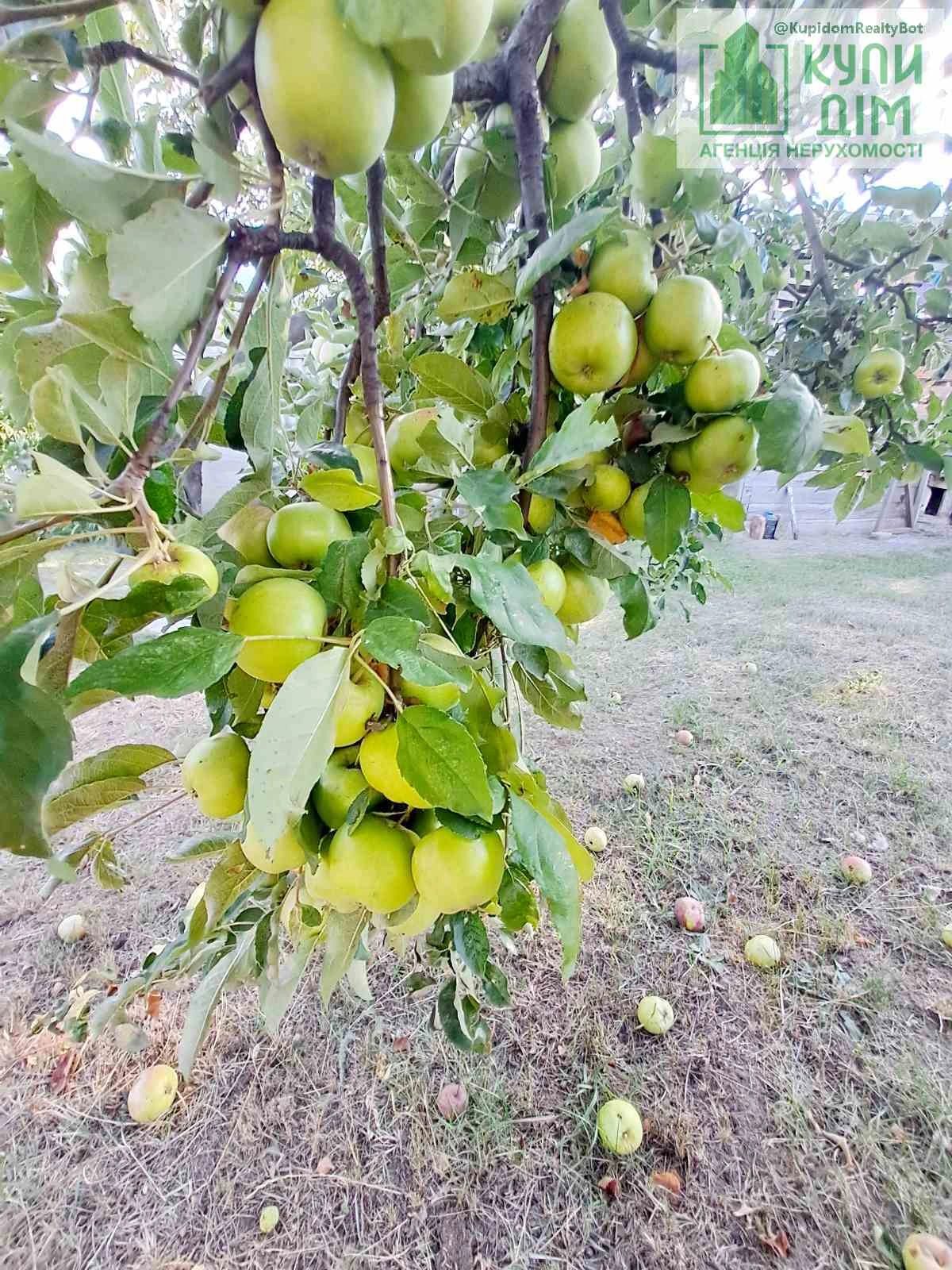 Продам будинок з меблями та технікою на Старій Балашівці.