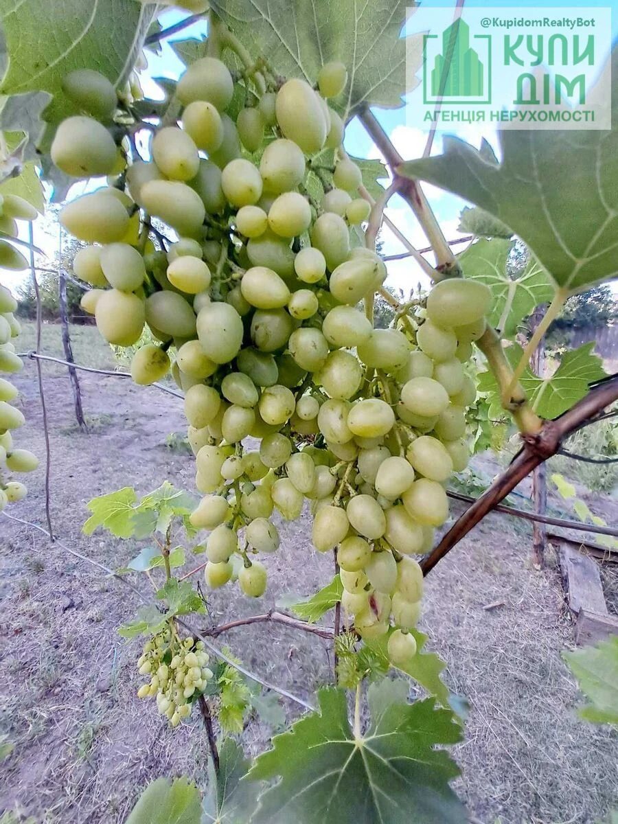 Продам будинок з меблями та технікою на Старій Балашівці.