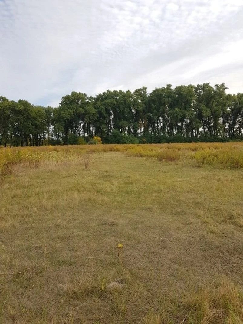 Land for sale for residential construction. Hoholiv. 