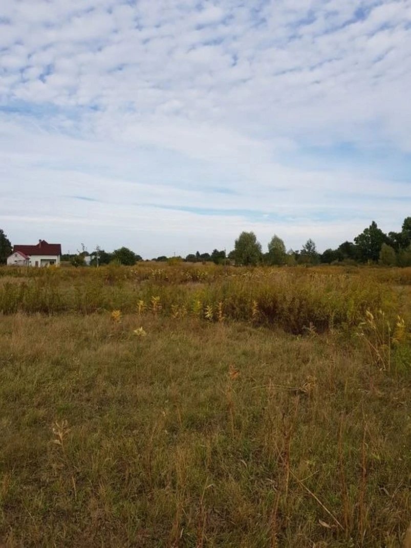Land for sale for residential construction. Hoholiv. 