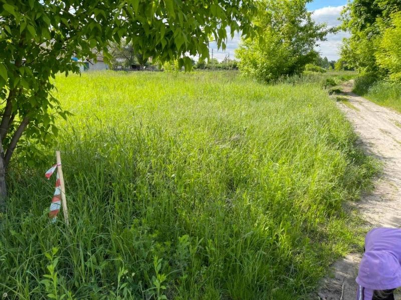 Land for sale for residential construction. Lenyna, Severynovka. 