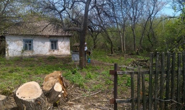 Land for sale. Shchorsa, Obukhov. 