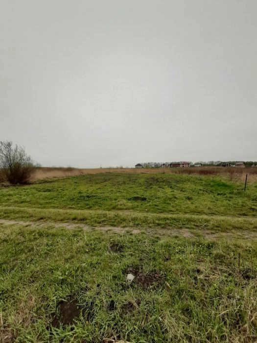 Land for sale for residential construction. Knyahyny Olhy, Lviv. 
