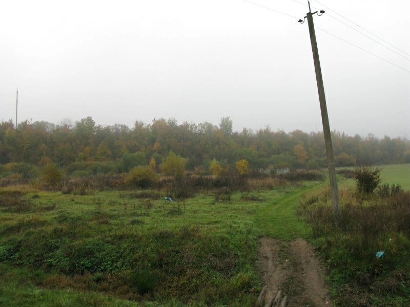 Land for industrial use for sale. Nelypyno, Svalyava. 