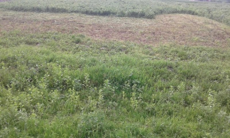 Land for sale for residential construction. Zahony, Lviv. 
