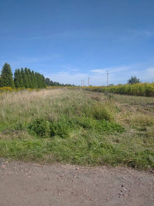 Agricultural land for sale for private use. S.Sukhovolya, Lviv. 