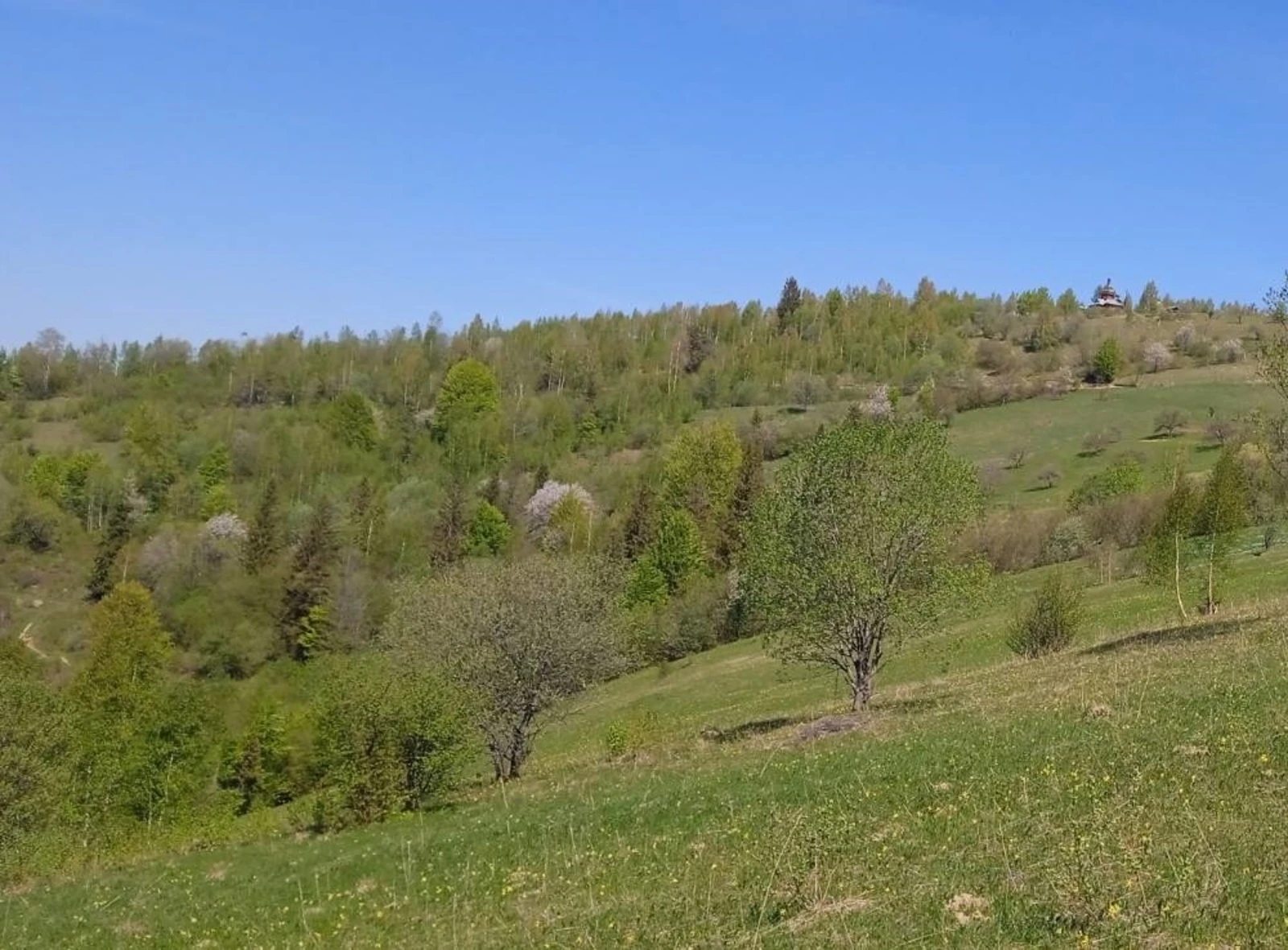 Land for sale for residential construction. Prykarpatska , Yaremche. 