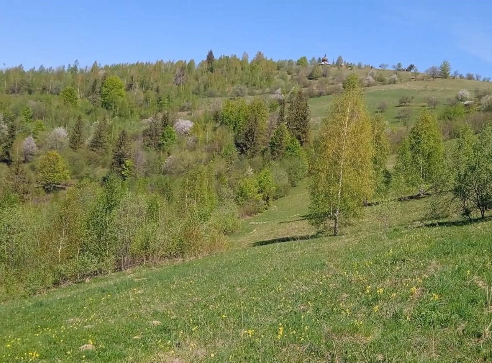 Land for sale for residential construction. Prykarpatska , Yaremche. 