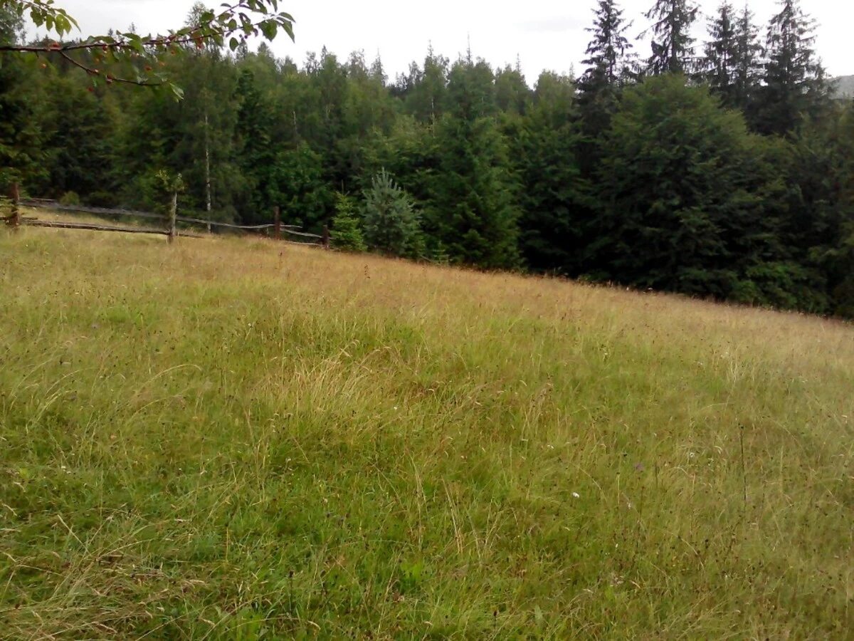 Land for sale for residential construction. Velyki Pohary , Mykulychyn. 