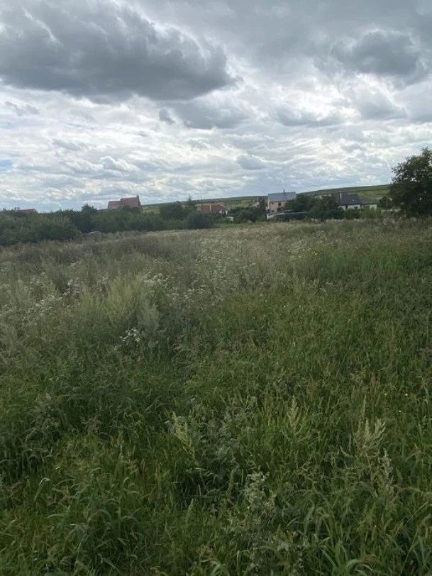 Land for sale for residential construction. Remeniv. 