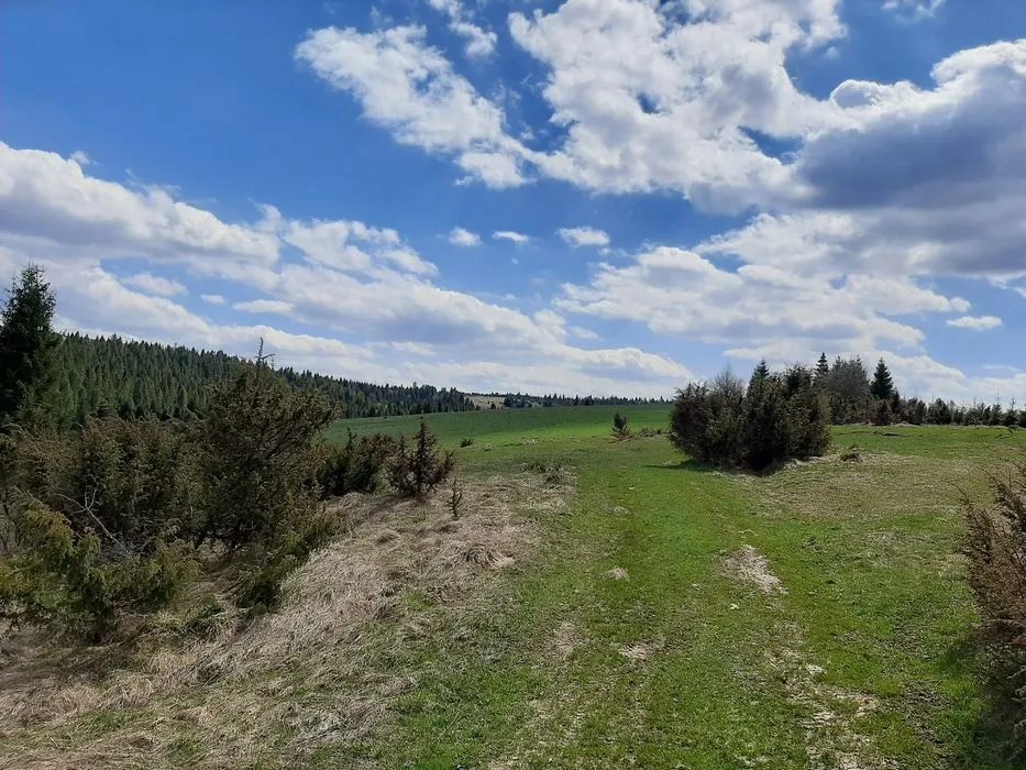 Agricultural land for sale for private use. Turka. 