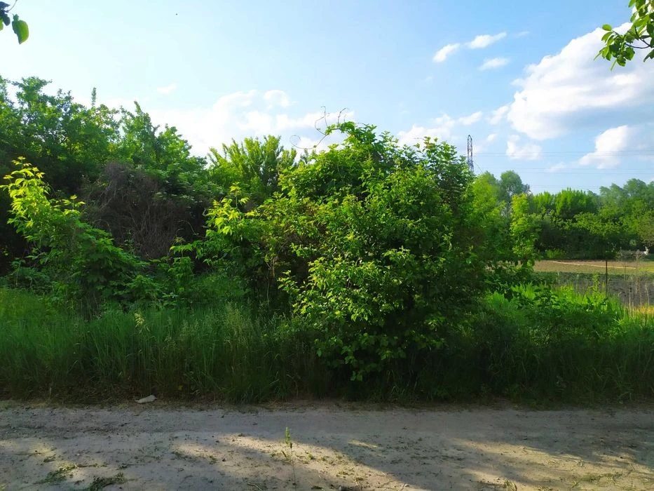 Land for sale for residential construction. Khodosivka. 