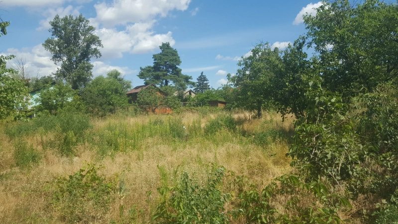 Land for sale for residential construction. Sadova, Kyiv. 