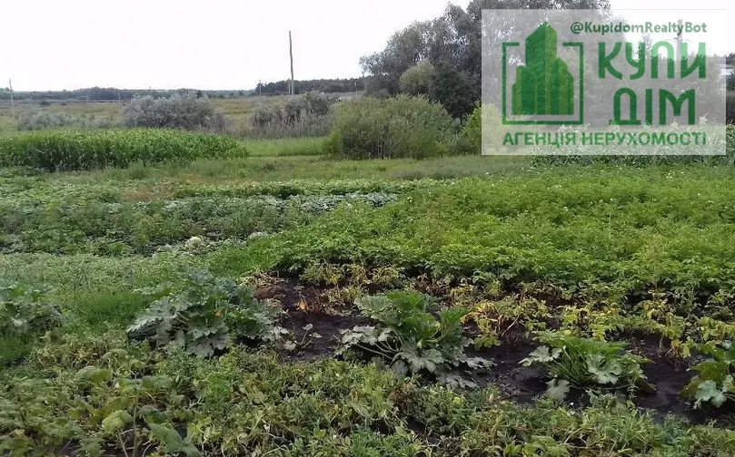 Продам розкішний будинок та в подарунок чисте повітря.