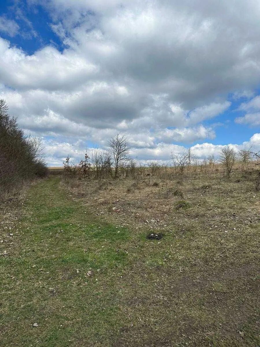 Land for sale for residential construction. Halytskyy, Baykovtsy. 