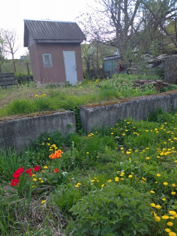 Agricultural land for sale for private use. Ruzhychnaya, Khmelnytskyy. 