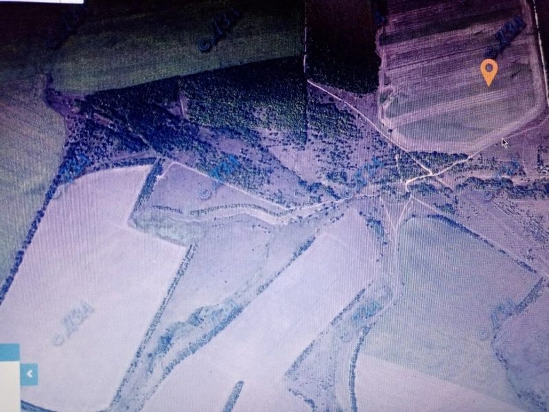 Agricultural land for sale. Danylovka, Kryvyy Rih. 