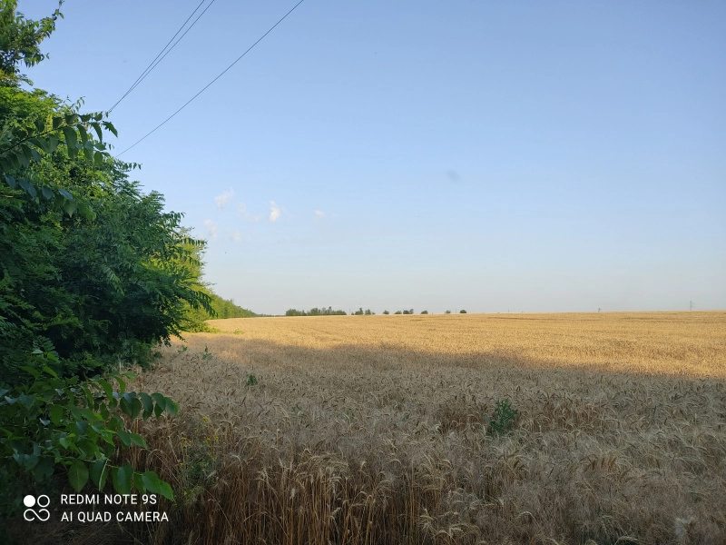 Agricultural land for sale. Zaporizhzhya. 