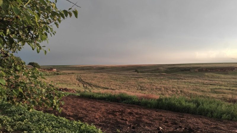 Agricultural land for sale. Tomaryno, Beryslav. 
