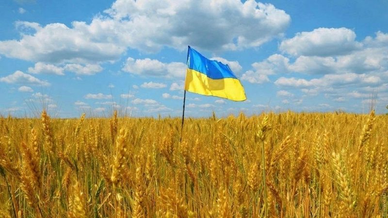 Agricultural land for sale. Zaporizhzhya. 
