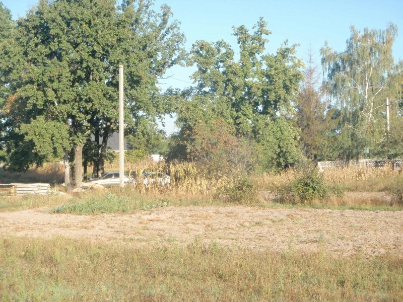 Land for sale. Vynohradna, Boryspil. 