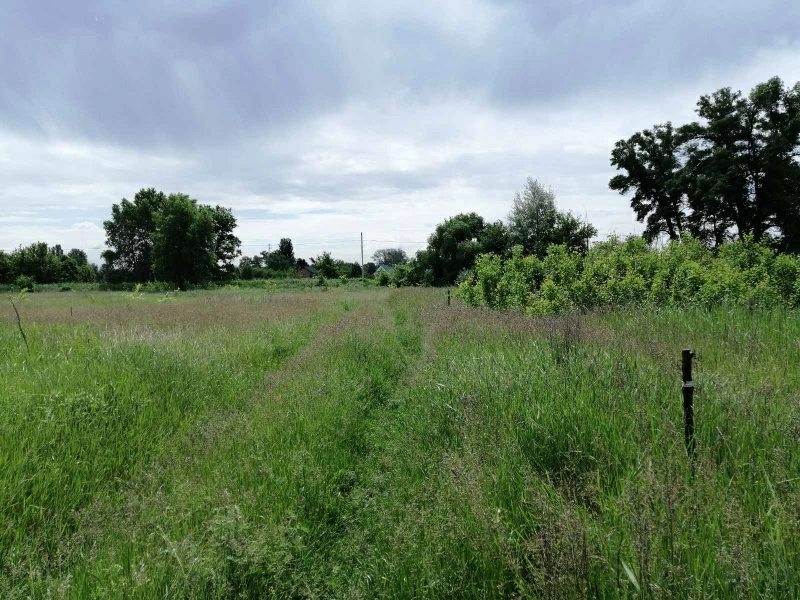 Land for sale for residential construction. Khotyanovka. 