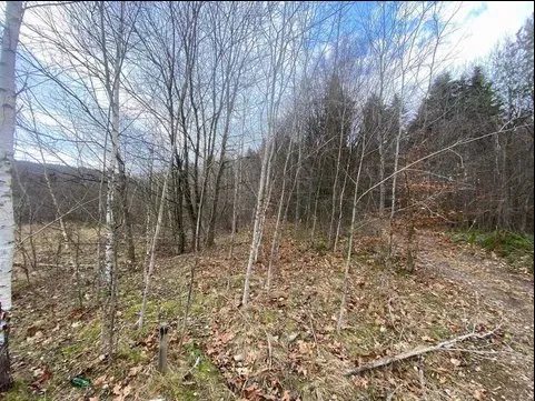 Land for sale for residential construction. Stepana Bandery, Boryslav. 