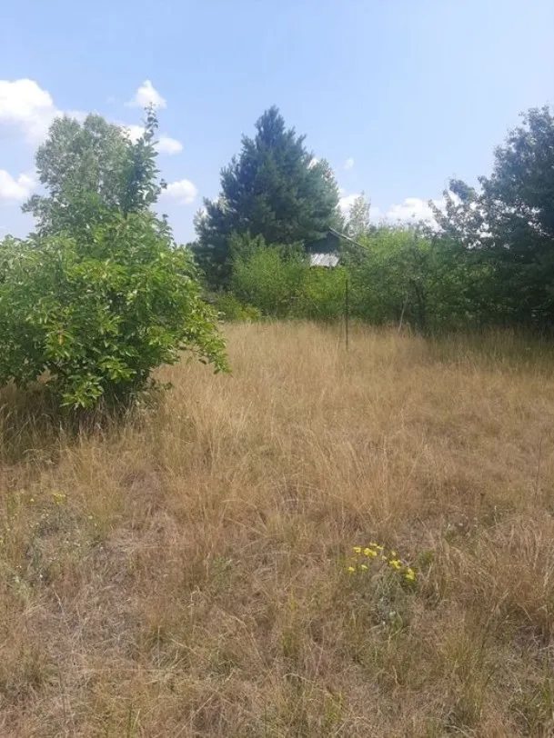 Land for sale for residential construction. Plyuty. 