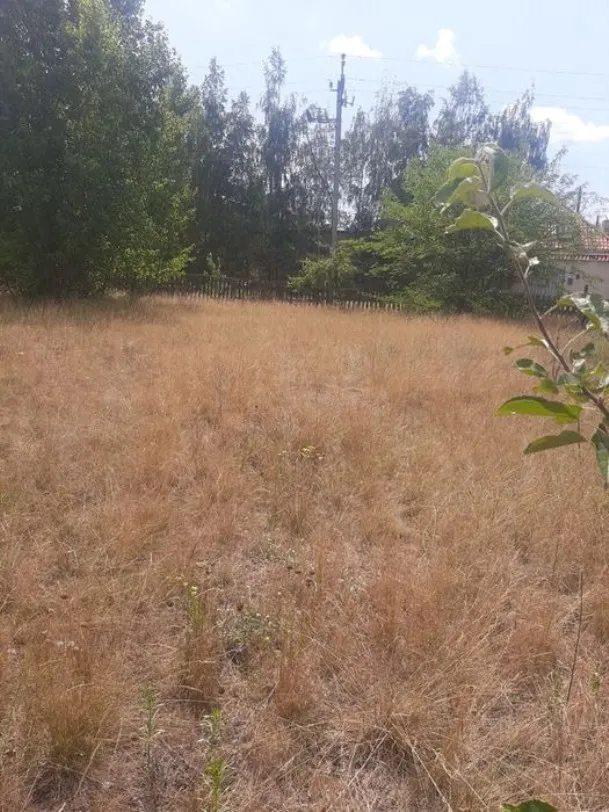 Land for sale for residential construction. Plyuty. 