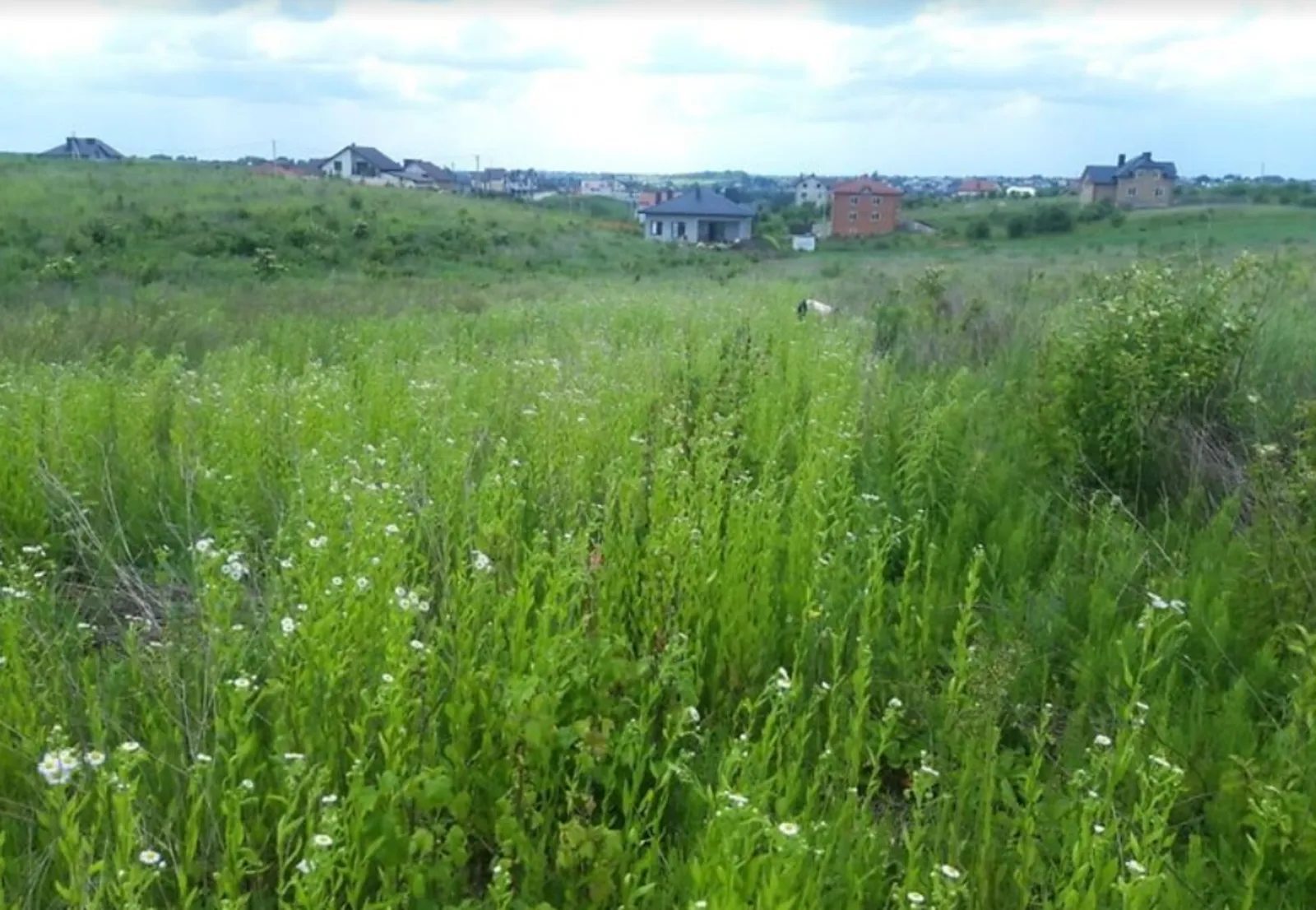 Land for sale for residential construction. Samchuka , Baykovtsy. 