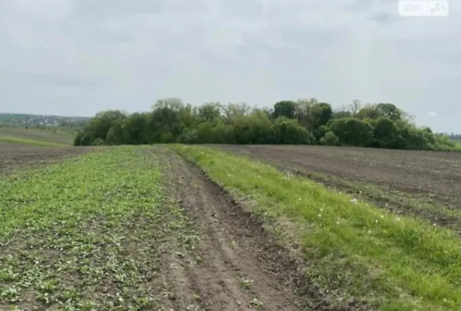 Продаж землі під житлову забудову. Гаї Ходорівські, Байковцы. 