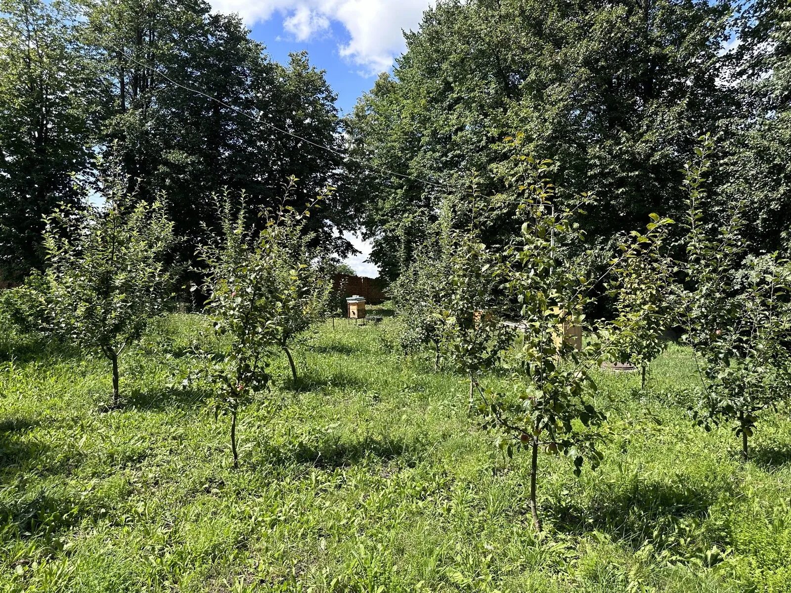 Продаються виробничо-складські приміщення з ділянкою 2,12 га