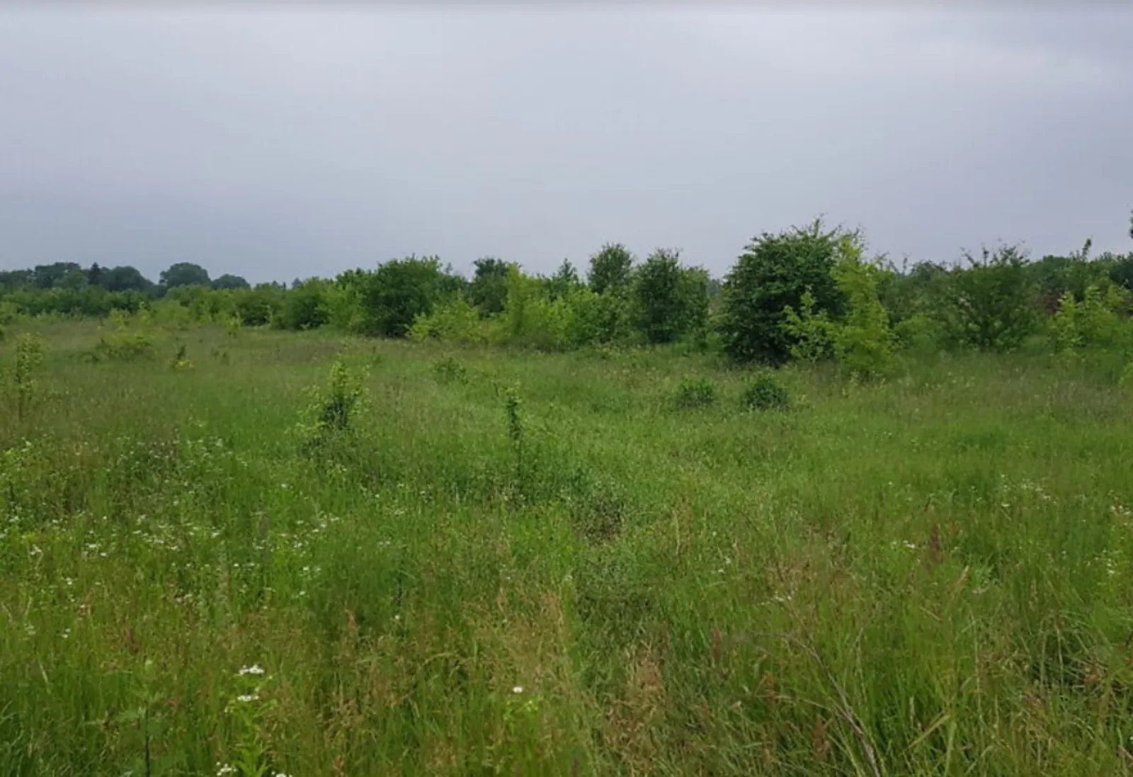 Land for sale for residential construction. Sakharnyy zavod, Ternopil. 
