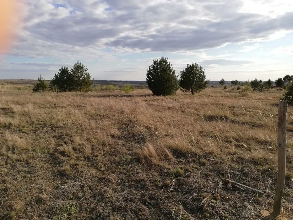 Land for sale for residential construction. Zaluzhzhya. 
