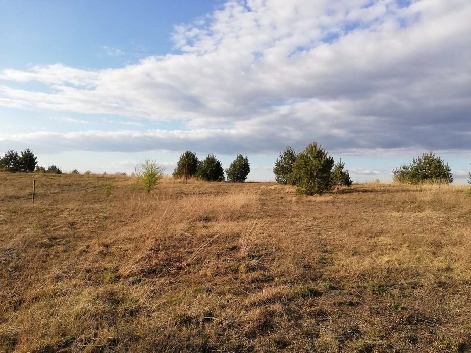 Land for sale for residential construction. Zaluzhzhya. 
