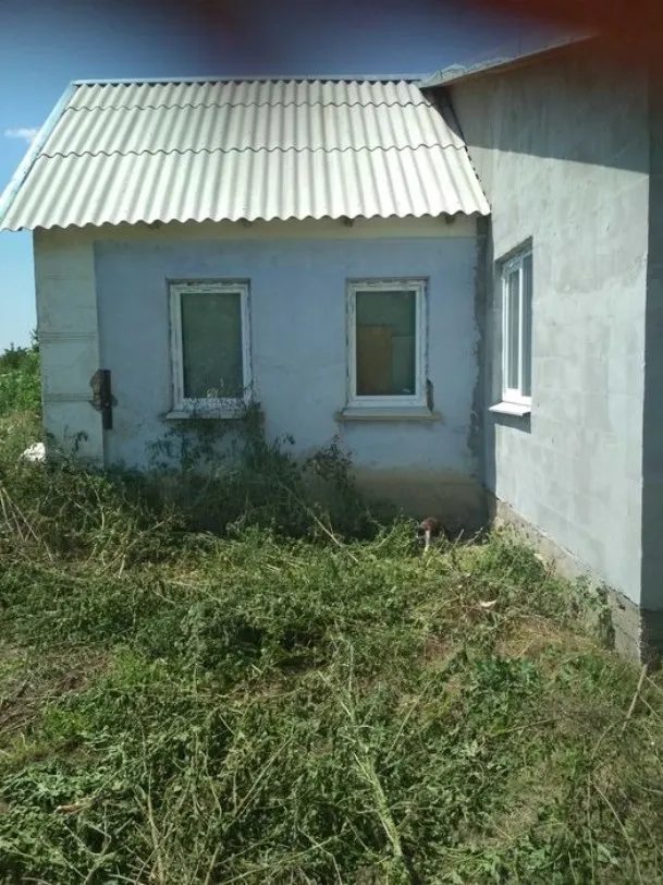 House for sale. 2 rooms, 55 m², 1 floor. Petrivka. 