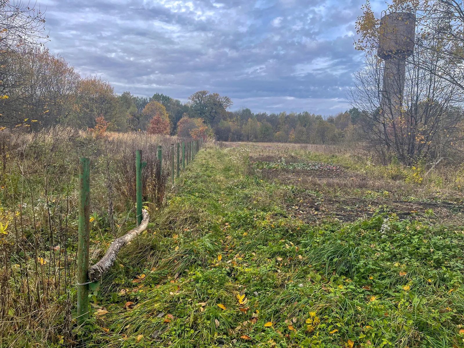 Продам нерухомість під комерцію 1530 m², 1 пов./1 пов.. 12, Шкільна вул., Нище. 