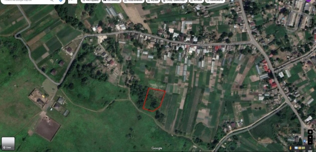 Land for sale for residential construction. Krasylivka. 