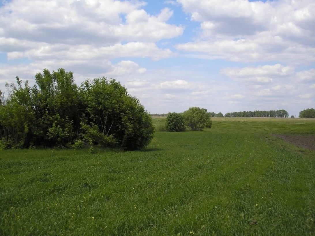 Land for sale for residential construction. Velyka Snitynka. 