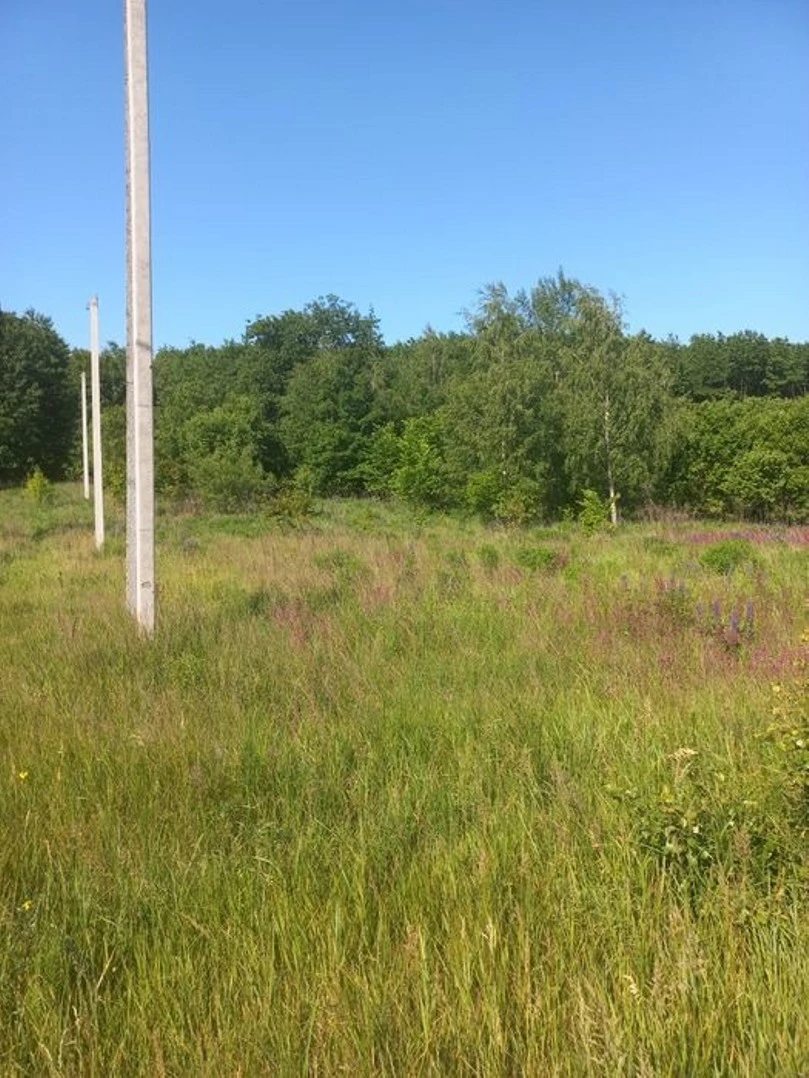 Land for sale for residential construction. Malyutyanka. 